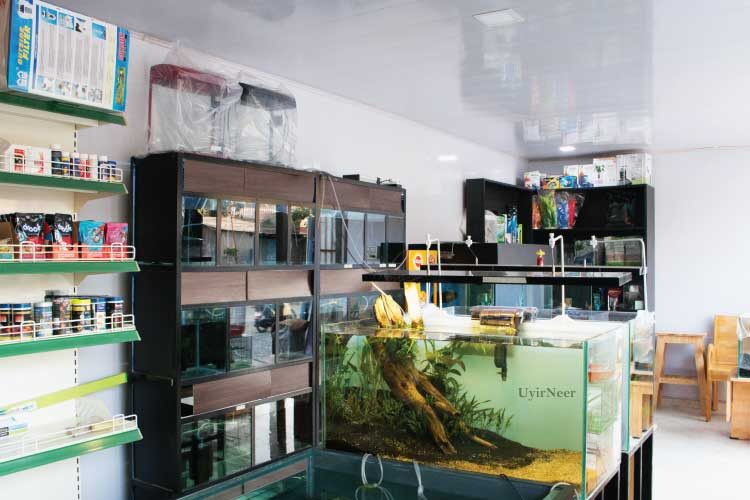 aquarium shop in coimbatore