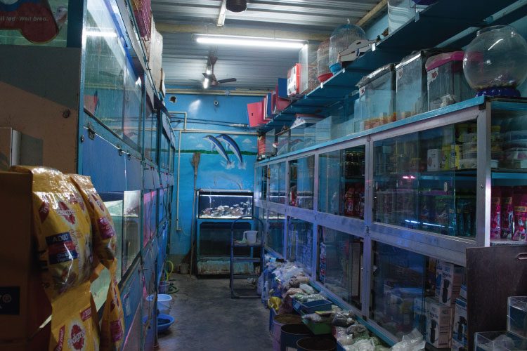 pet shop in coimbatore